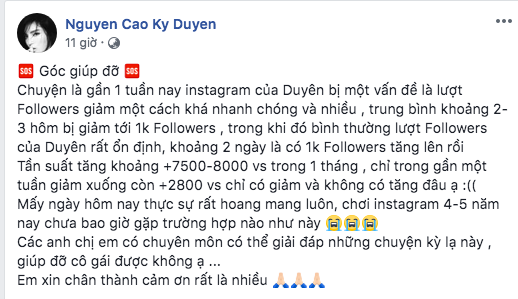 Kỳ Duyên, sao Việt